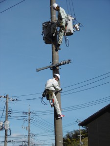 当社社員に見守られ一所懸命に昇柱②